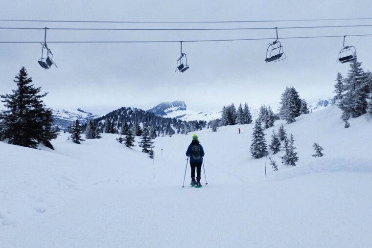 Snowshoeing in Les Houches