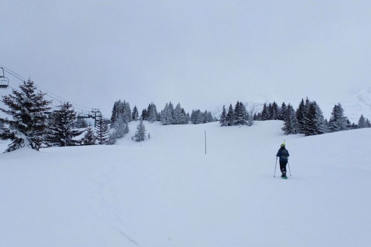 Snowshoeing in Les Houches